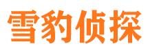 宜春市侦探公司